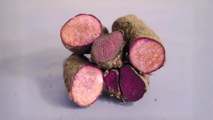 What does ube really taste like? Myth vs reality | KAIA – Kaia